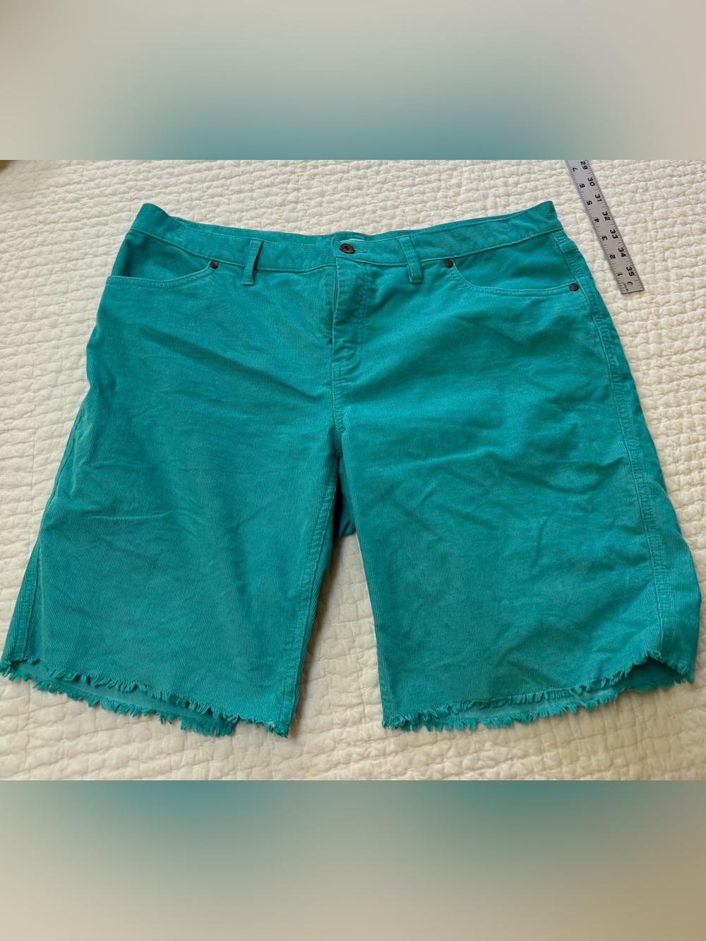 Carve Design 10” Oahu shorts